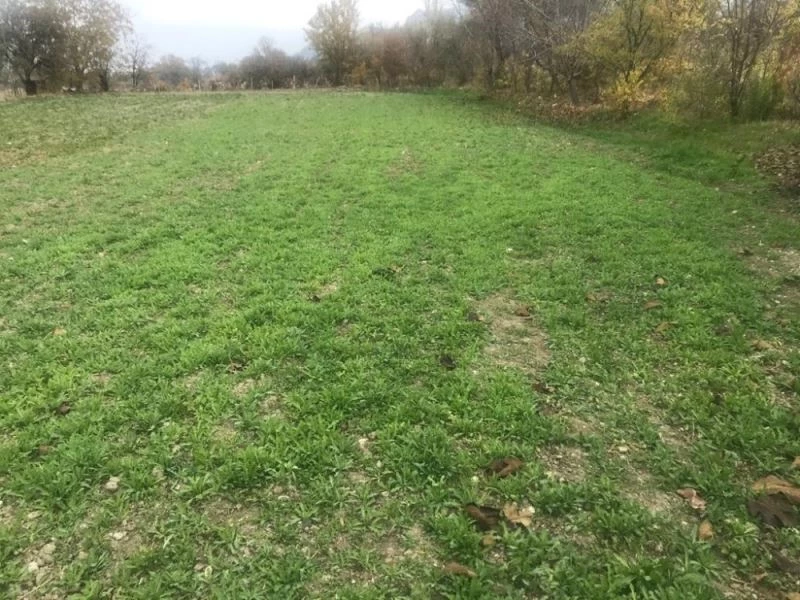 Burdur’da 100 bin kök yasadışı haşhaş eken şahıs yakalandı
