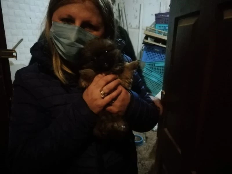 Başkent’te petshop baskını
