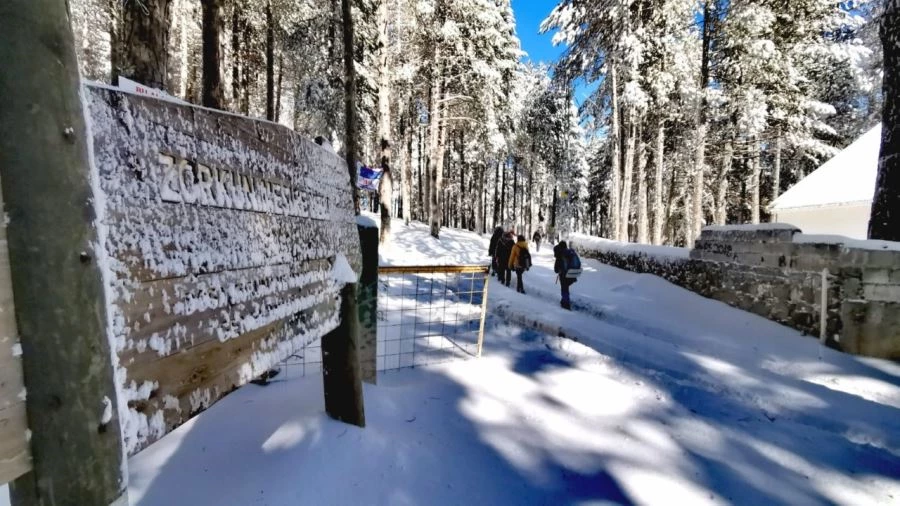 DOĞASEVERLERDEN KARLA BULUŞMA YÜRÜYÜŞÜ