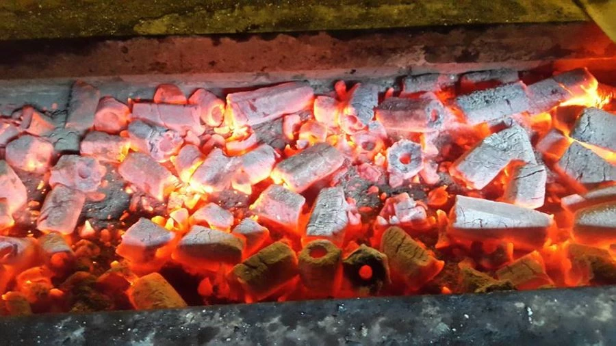 MANGAL ZEHİRLENMESİNDEN AYNI GÜN  4 KİŞİ YAŞAMINI YİTİRDİ