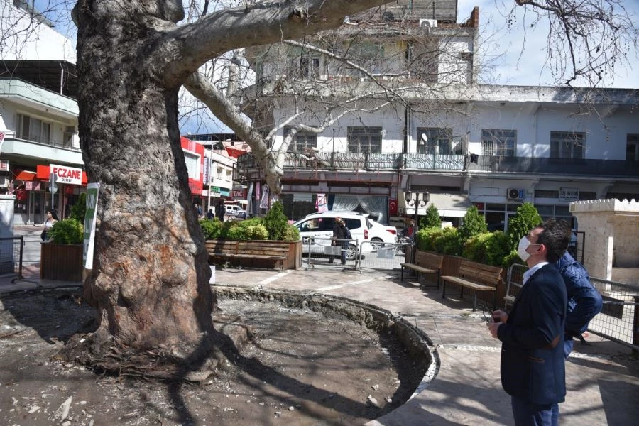 OSMANİYE BELEDİYESİ, AĞAÇLANDIRMA, AĞAÇLARIN BAKIMI VE YEŞİL ALAN OLUŞTURMA ÇALIŞMALARINA DEVAM EDİYOR.