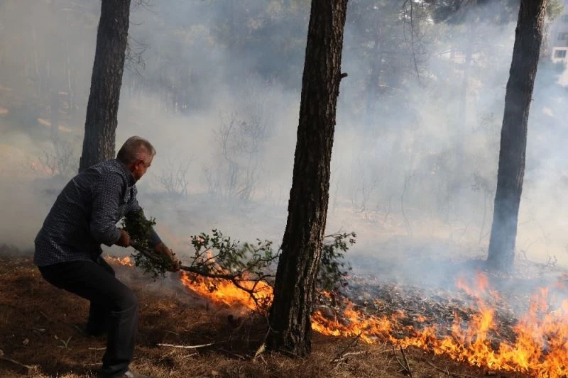 Salgın da orman yangınlarını engelleyemedi
