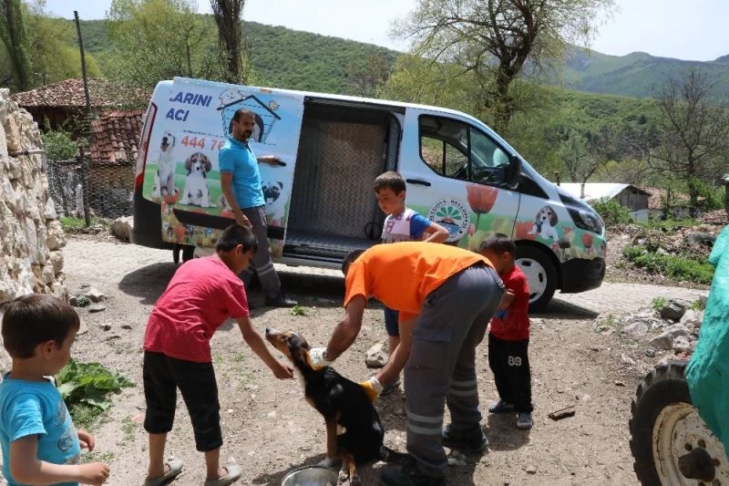 Vefa grubunun yolunu keserek iki ayağı kırılan köpekleri için yardım istediler
