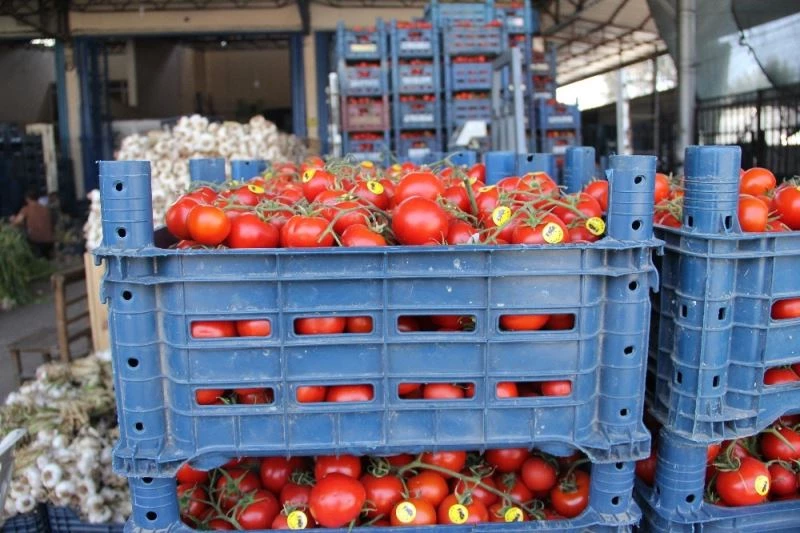 (Özel) Sebze arzı patladı, fiyatlar halde dip yaptı, markette fırladı
