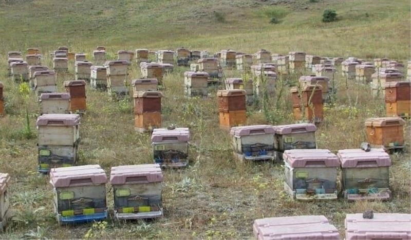 Pehlevan’dan  “Arı Tarım Komisyonu