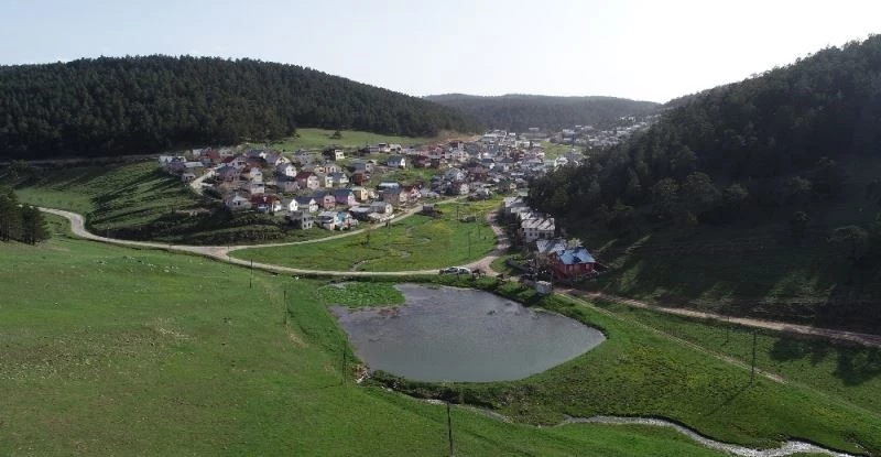 Kurbağalı Göl’den yayılan sesler tüm yaylayı kaplıyor

