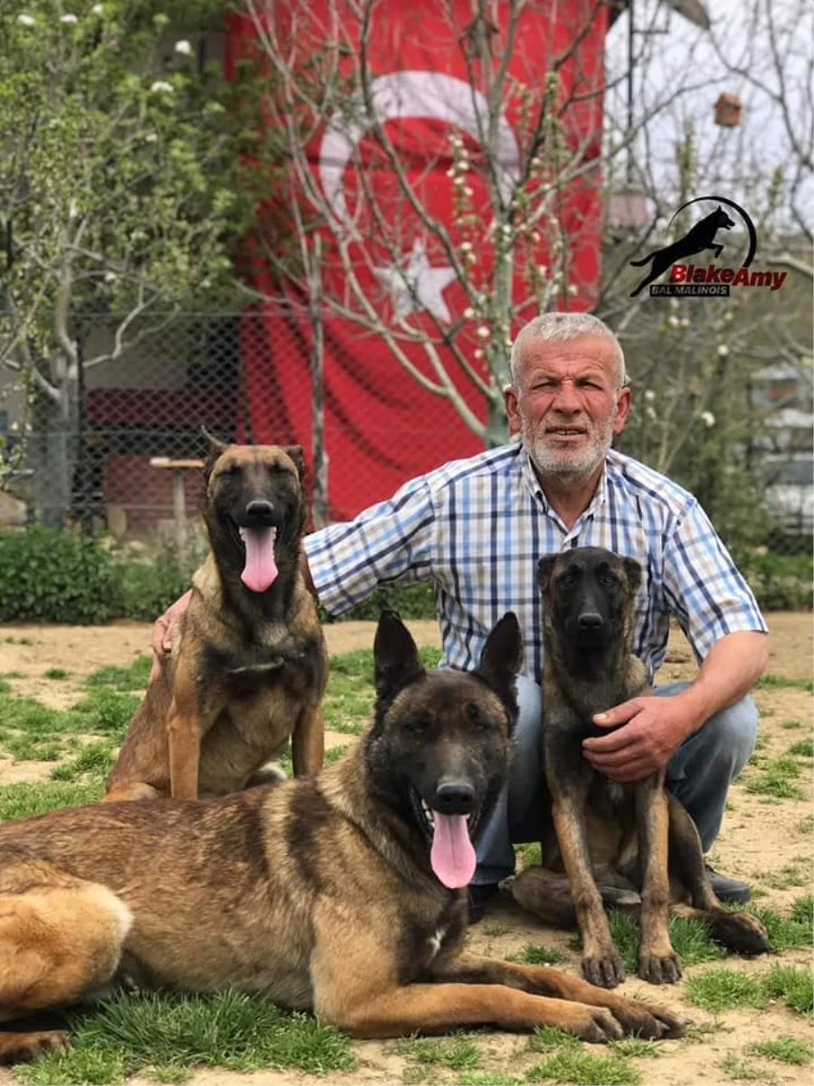 FATİH BAL HAYATINI KÖPEKLERE ADAYIP KÖPEK ÇİFTLİĞİ KURDU