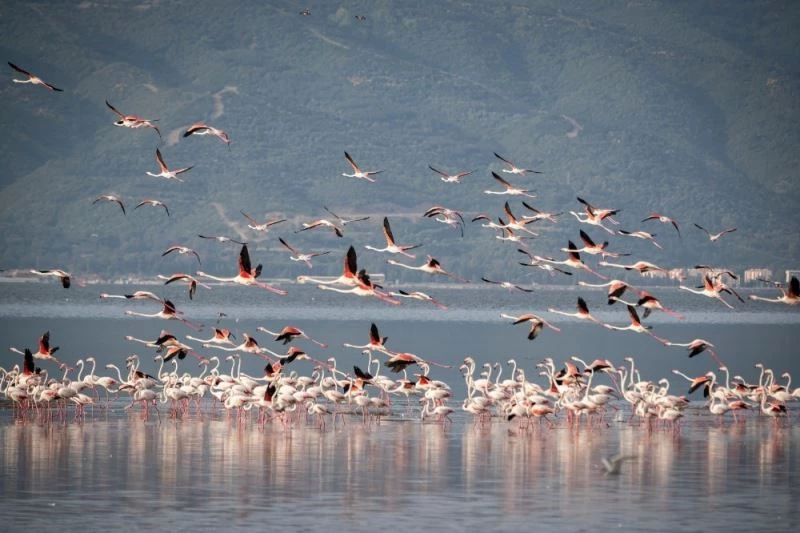 Gediz Deltası’nın güney kesimine ‘Doğa Rotası’
