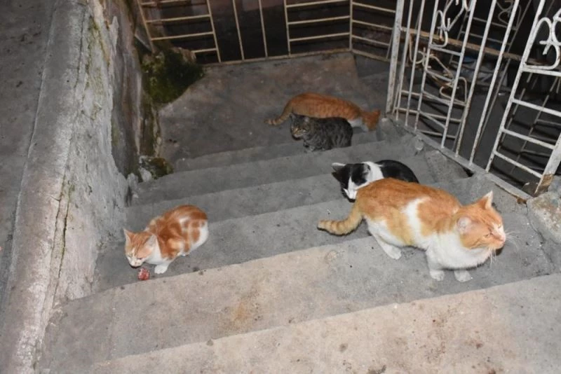 Kırıkkale Valiliğinden çağrı: 