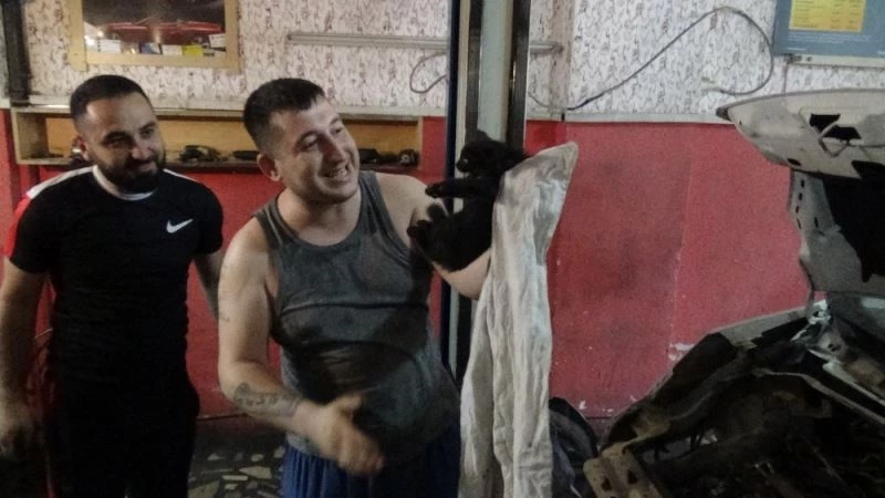 Yavru kediyi kurtarmak için aracı parçaladılar
