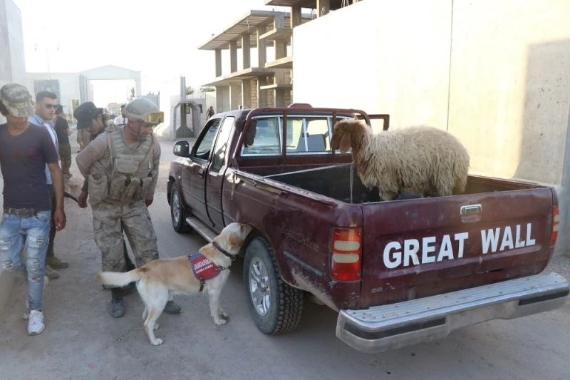 Telabyad ve Resulayn’da drone ve bomba arama köpeği devri
