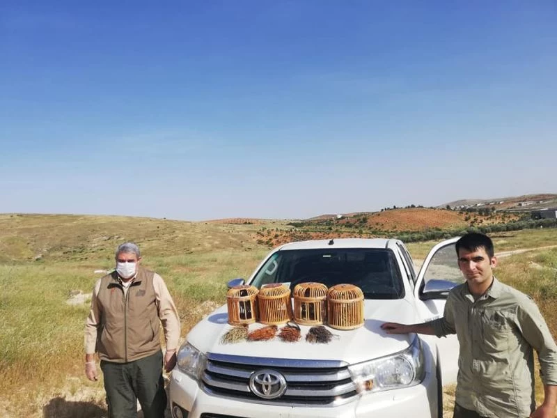 Keklik avlayanlara 6 bin TL para cezası
