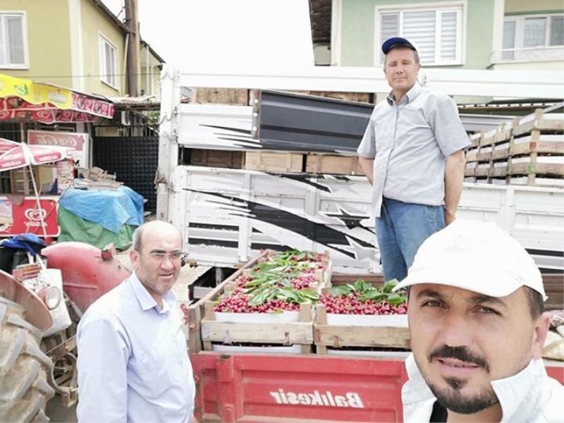 İlk kirazın kilosu 10 lira
