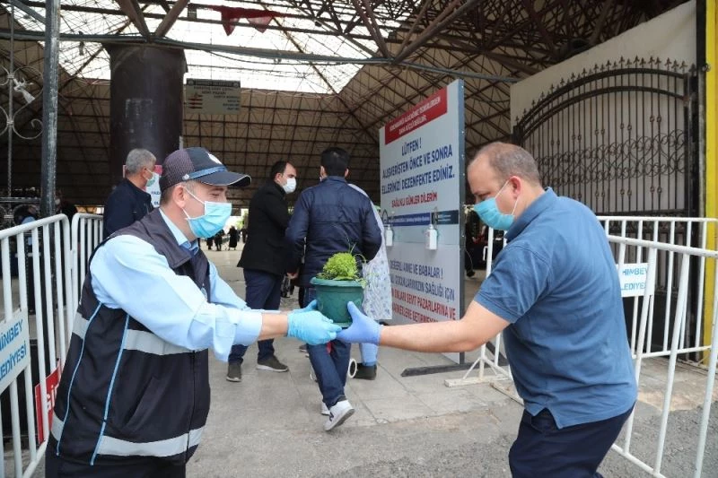 Şahinbey’den vatandaşlara 30 bin adet reyhan çiçeği
