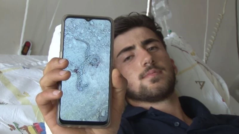 Zehirli yılanın ısırdığı genç Erzurum’da hayata tutundu
