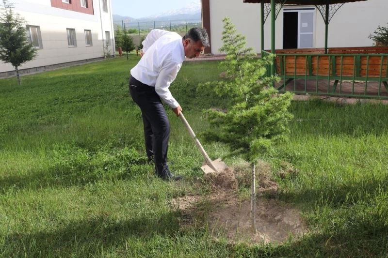 Karantina yurduna fidanlar dikildi
