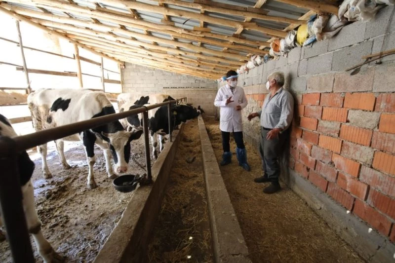 Başkan Altay: “Çiftçimizin yanında olmaya devam ediyoruz”
