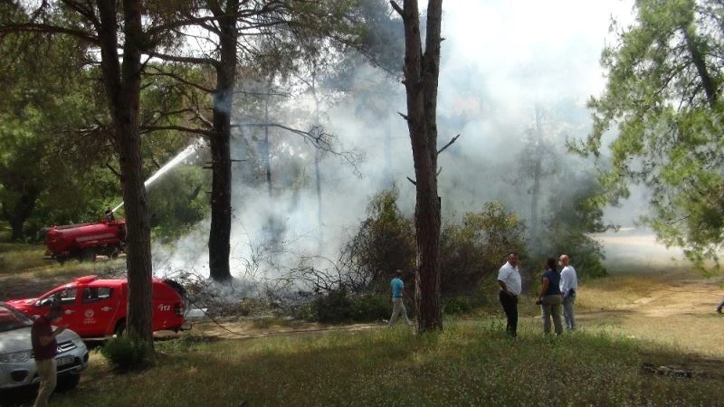 Sorgun çamlığında korkutan yangın
