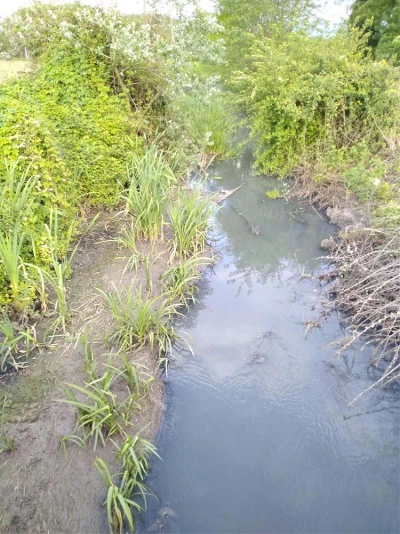 Deredeki koku sebebiyle camlarını açamaz hale geldiler
