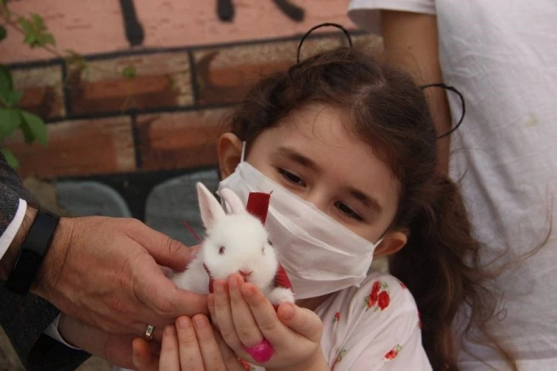 Minik Cemre Cumhurbaşkanından istediği tavşanına kavuştu
