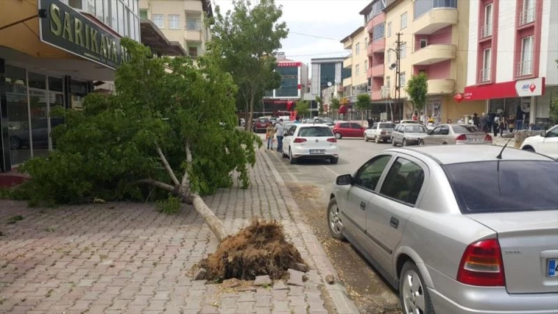 Kahramanmaraş’ta fırtına çatıları uçurup, ağaçları devirdi