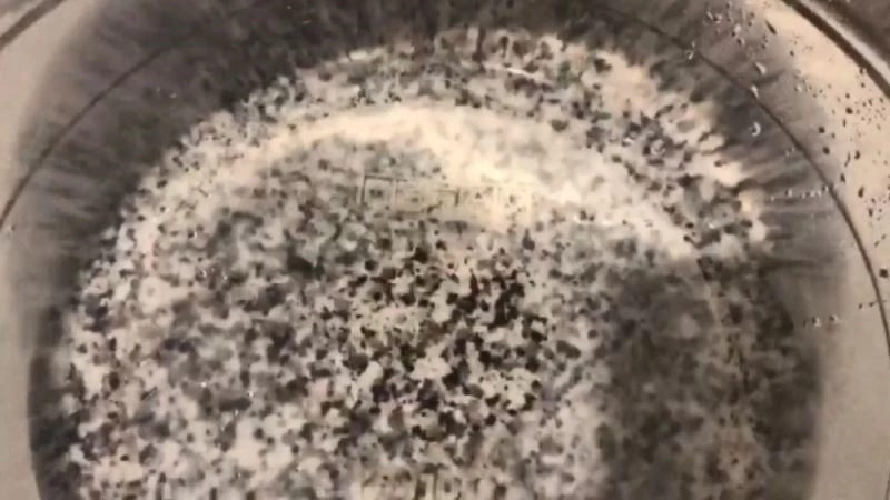 Temizlemek için söktüğü musluk filtresinde yüzlerce sinek görünce şaşkına döndü
