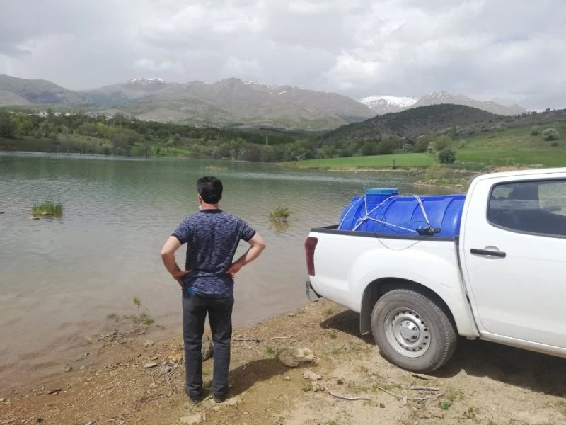 Yeniköy göletine 40 bin sazan yavrusu bırakıldı
