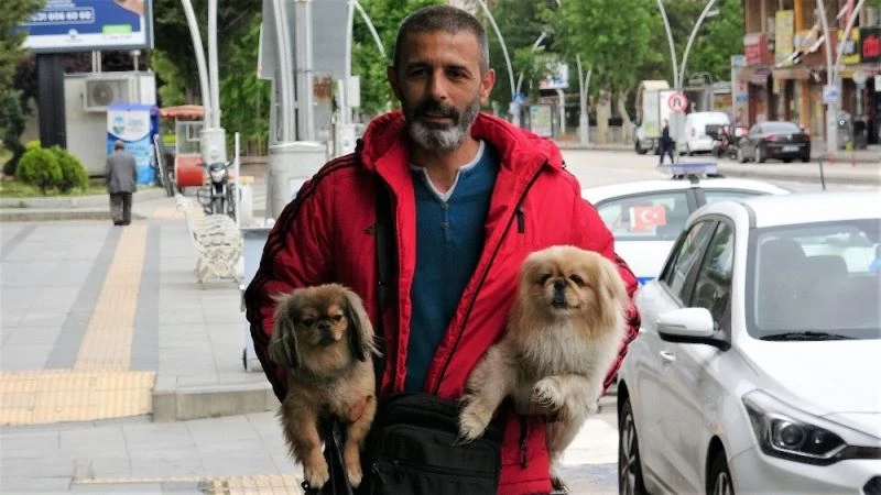 Sokağa çıkma kısıtlamasında ilk günü köpeklerini gezdirdi, yem bıraktı
