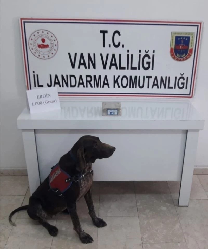 Erciş’te toprağa gömülü eroini Rasif buldu
