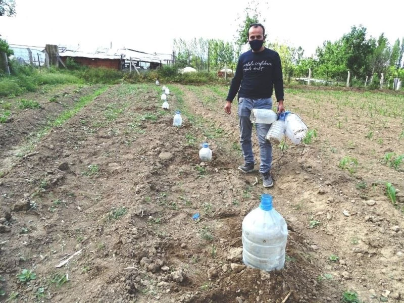 Don ve kırağıya karşı pet şişeli önlem
