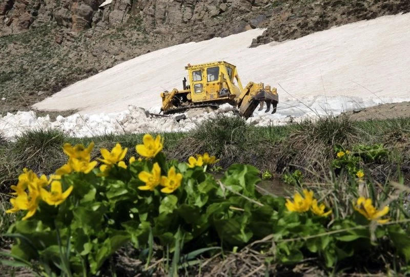 Van Büyükşehir belediyesi, atlarla ulaşımı sağlanan mezra yollarını açtı
