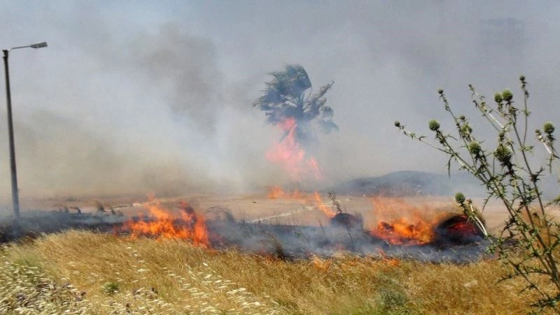 Seka’da çıkan yangın korkuttu
