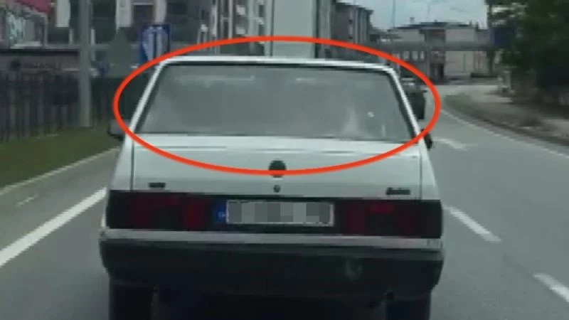 Otoyolda ilginç görüntü: Arabanın arka koltuğunda inek taşıdı
