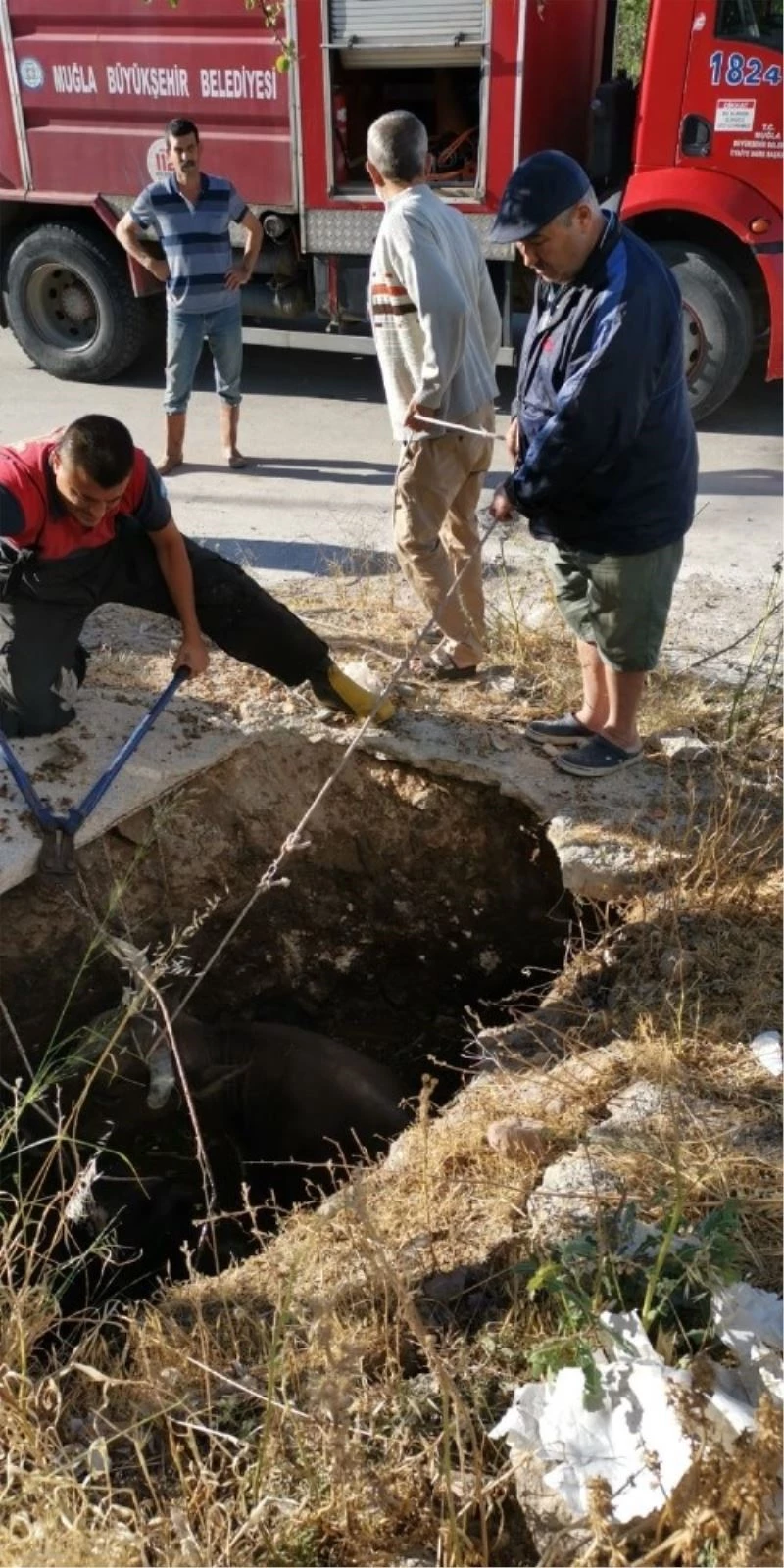Otlarken foseptik çukuruna düştüler
