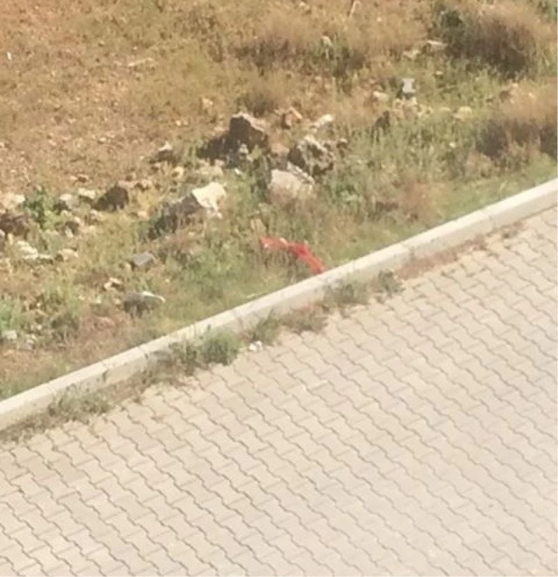 Vatandaş ihbar etti, yola düşen Türk bayrağını polis öpüp kaldırdı
