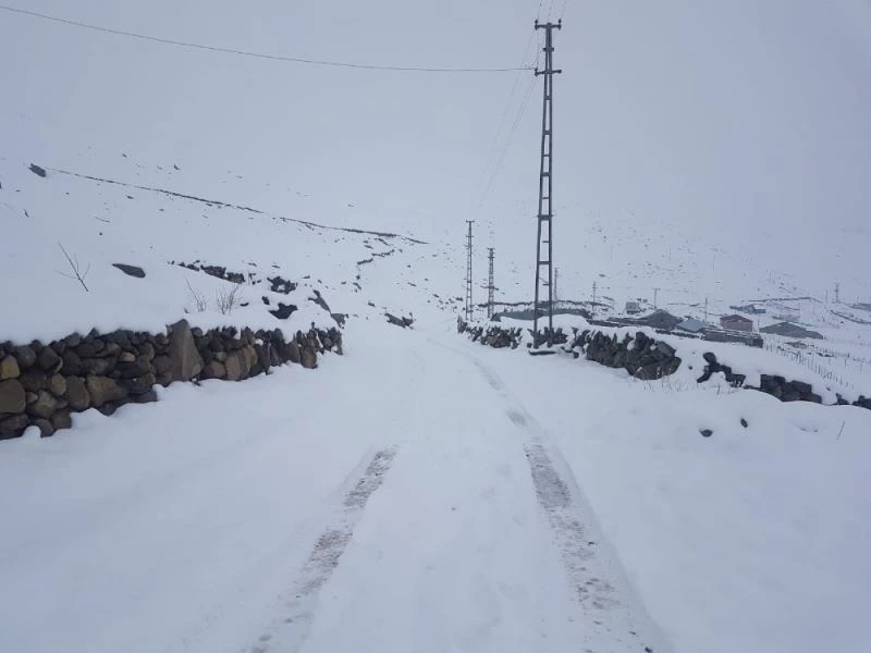 Giresun Valiliği yaylada mahsur kalan çobanların imdadına yetişti
