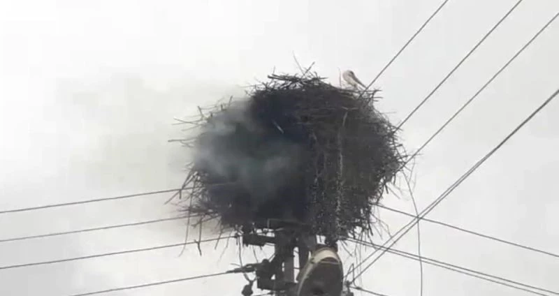 Leylek yuvasında çıkan yangını söndürmek için seferber oldular
