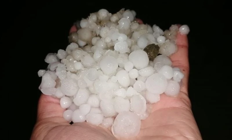 Elazığ’da misket büyüklüğündeki dolu, bahçelere zarar verdi
