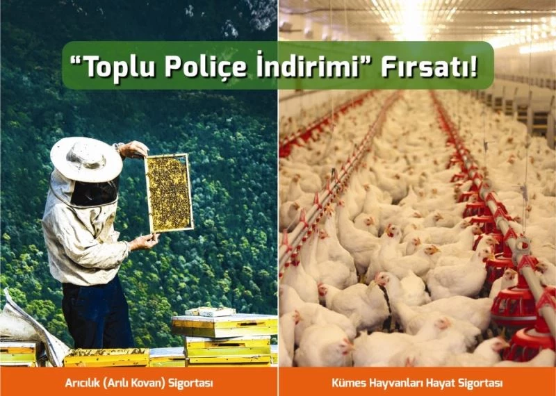 Arı yetiştiricileri ve kanatlı hayvan üreticilerine ’toplu poliçe indirimi’ fırsatı
