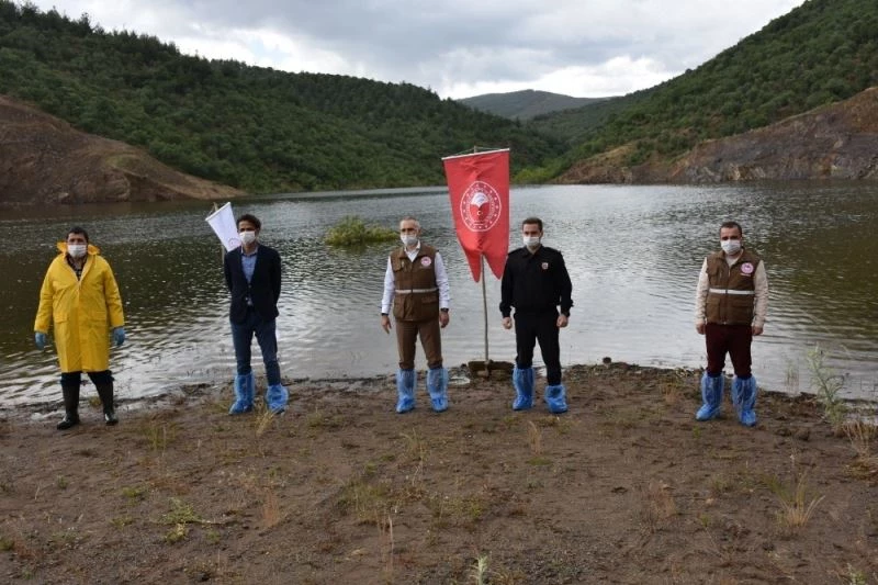 Manisa’da 72 bin pullu sazan balığı yavrusu suyla buluştu
