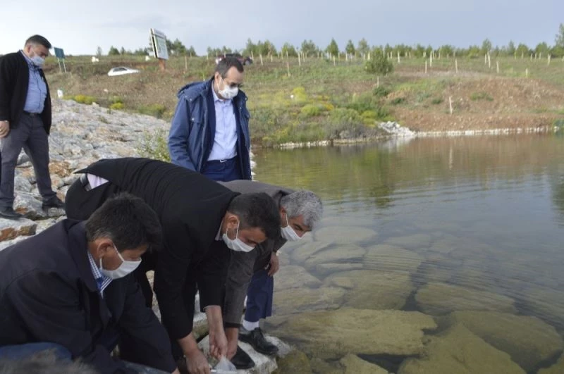 Tavşanlı ilçesinde 9 köy göletine yavru sazan balığı bırakıldı
