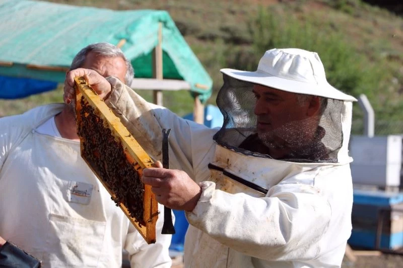 Bozok yaylaları gezginci arıcıların mekanı oldu
