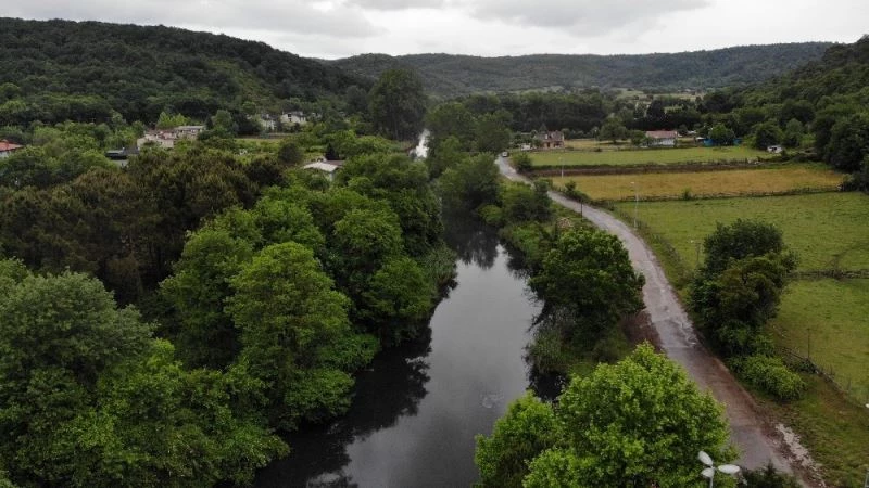 Riva Deresi’nde kirlilik vatandaşları endişelendiriyor
