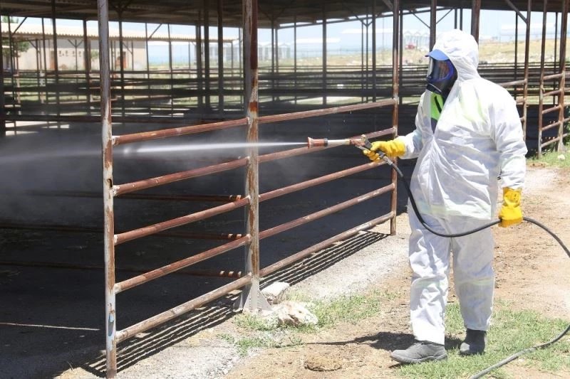 Karaman Belediyesinin haşere ve zararlı bitkilerle mücadelesi devam ediyor
