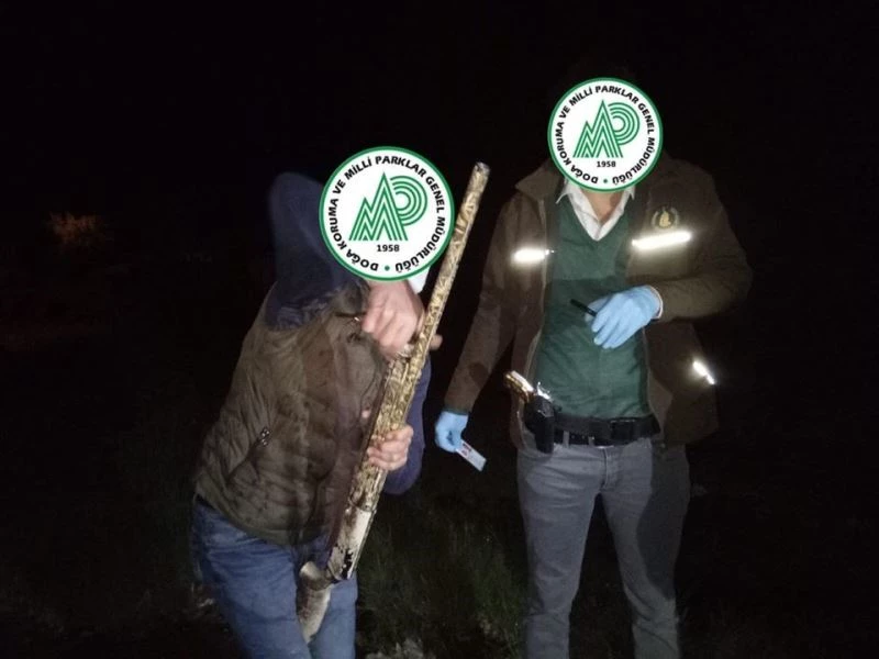 Av sezonu dışında tavşan avladı, bin 584 TL ceza yedi
