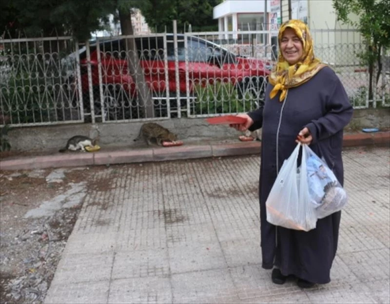 Yetim aylığıyla sokak hayvanlarını besliyor