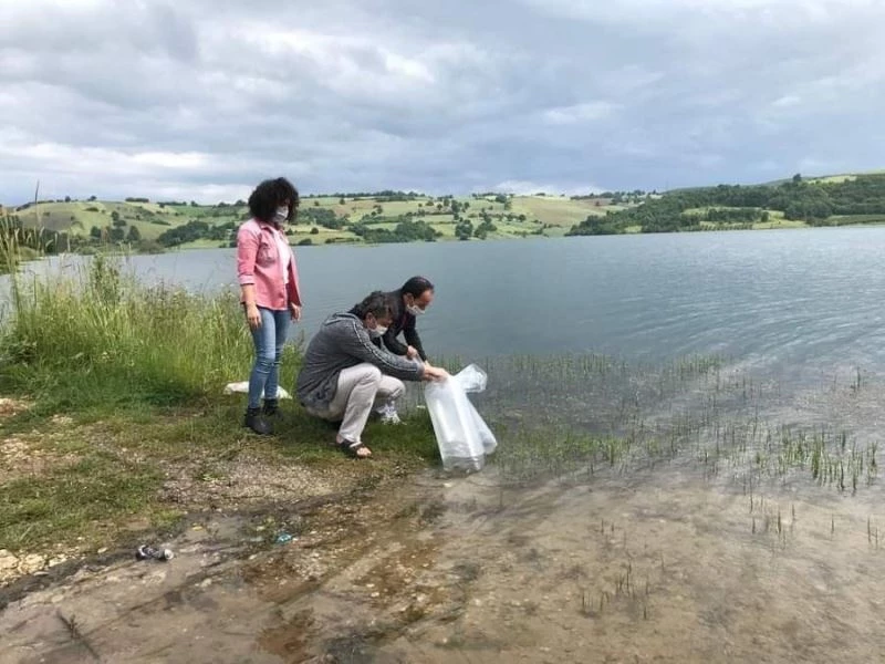 Kandıra’nın göletlerine 15 bin adet yavru sazan balığı salındı
