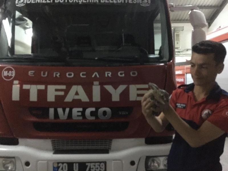 Tavşanı önce kurtardılar sonra koruma altına aldılar
