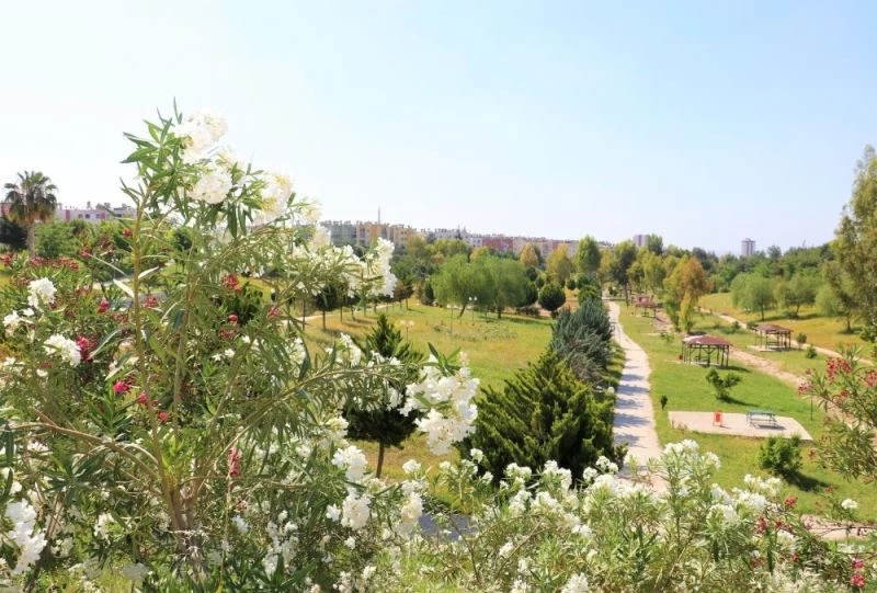 Toroslar’ın parkları kır çiçekleriyle renklendi
