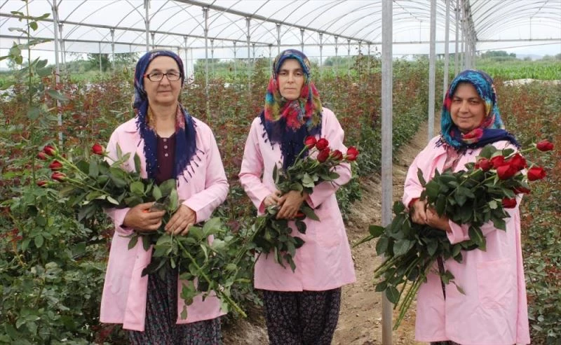 Köylü kadınların yetiştirdiği güller Anneler Günü